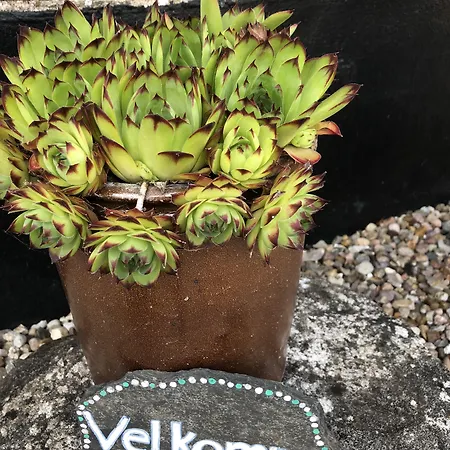 Alojamento de Acomodação e Pequeno-almoço Karensdal Uldum